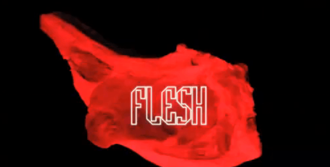 flesh mr flash