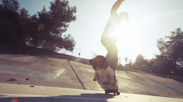 Skate & Jazz à L.A. : BELONG 7