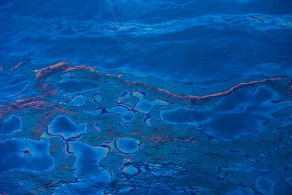 Une marée noire en photo par Kris Krug 7