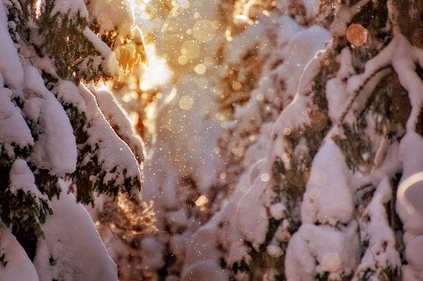 neige par Mikko Lagerstedt