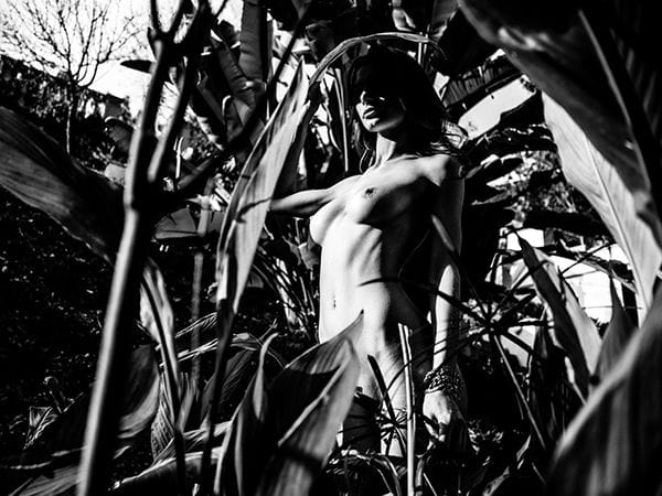 Kesler Tran : Photographe 21