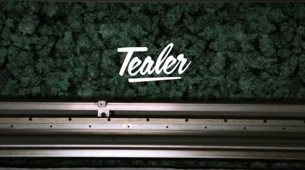 "Dealer", le court-métrage inspiré du titre "Rival Dealer" de Burial 2