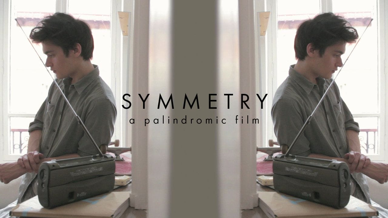 Symmetry, le palindrome audiovisuel 1