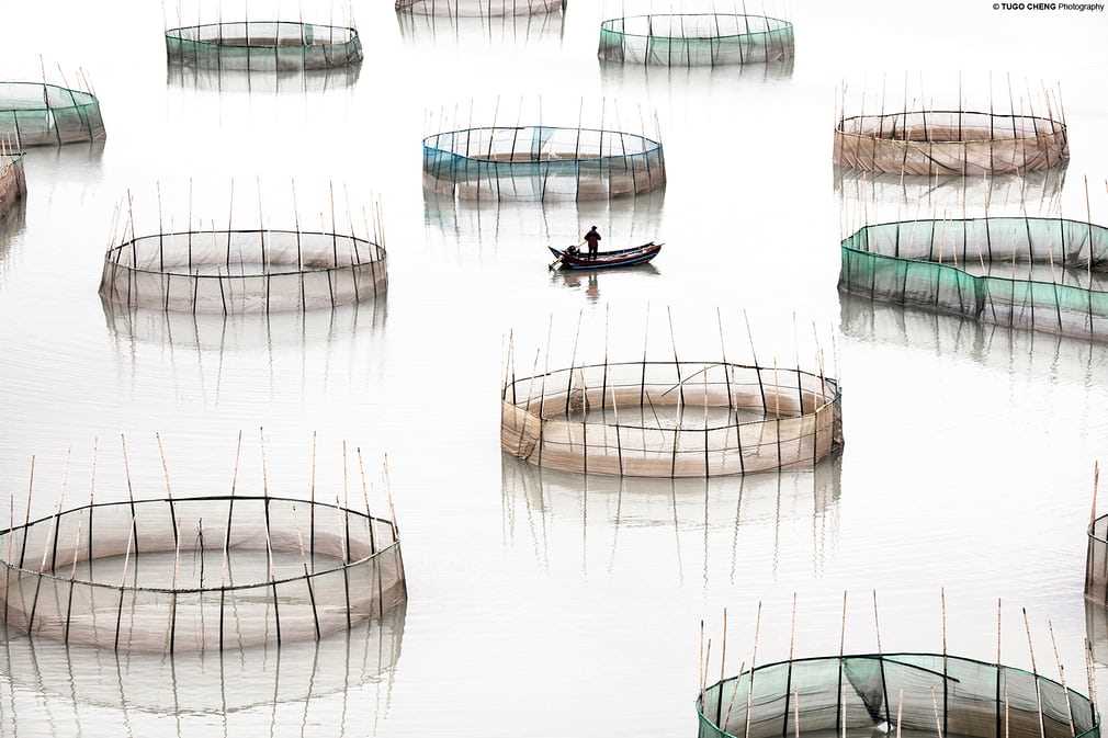 Coastal Geometries : la délicatesse graphique de l'aquaculture chinoise 1