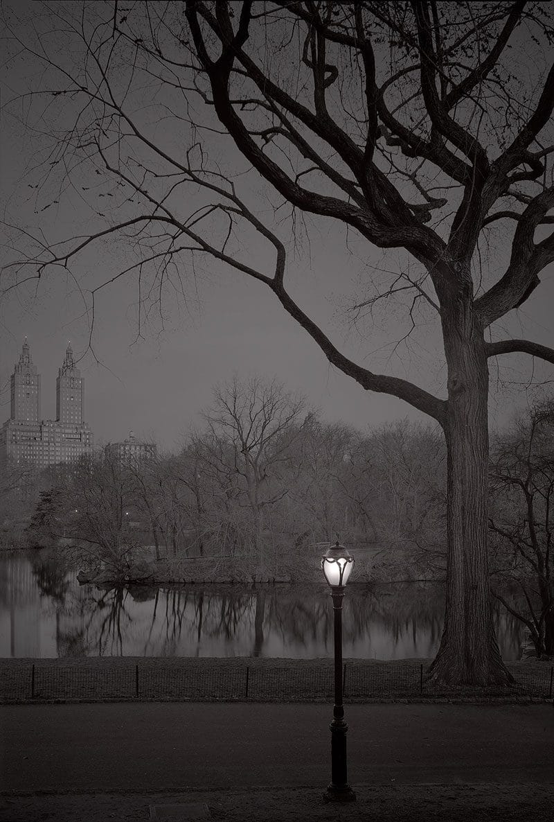 Deep In A Dream – La série de photos de Central Park prises de nuit par Michael Massaia 2
