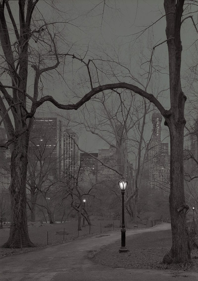 Deep In A Dream – La série de photos de Central Park prises de nuit par Michael Massaia 4