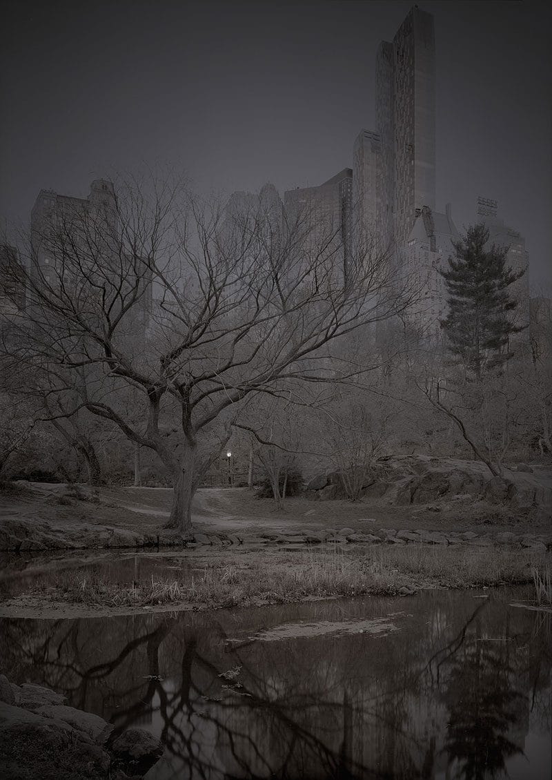Deep In A Dream – La série de photos de Central Park prises de nuit par Michael Massaia 6