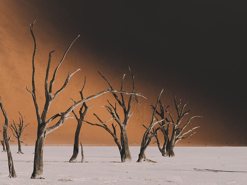 Une pause dans le désert de Namibie 1