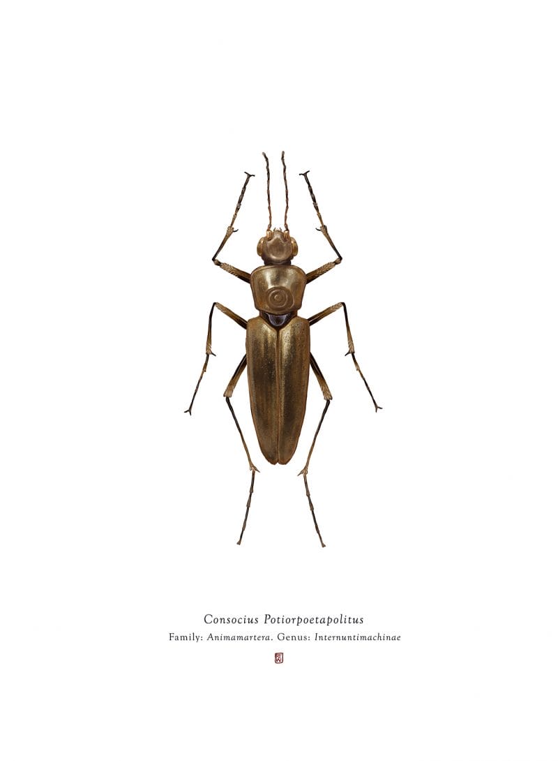 Anthopoda Iconicus, quand les insectes ressemblent aux personnages de Star Wars 8