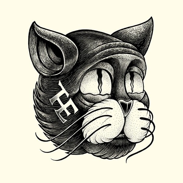 chat dessiné par shane