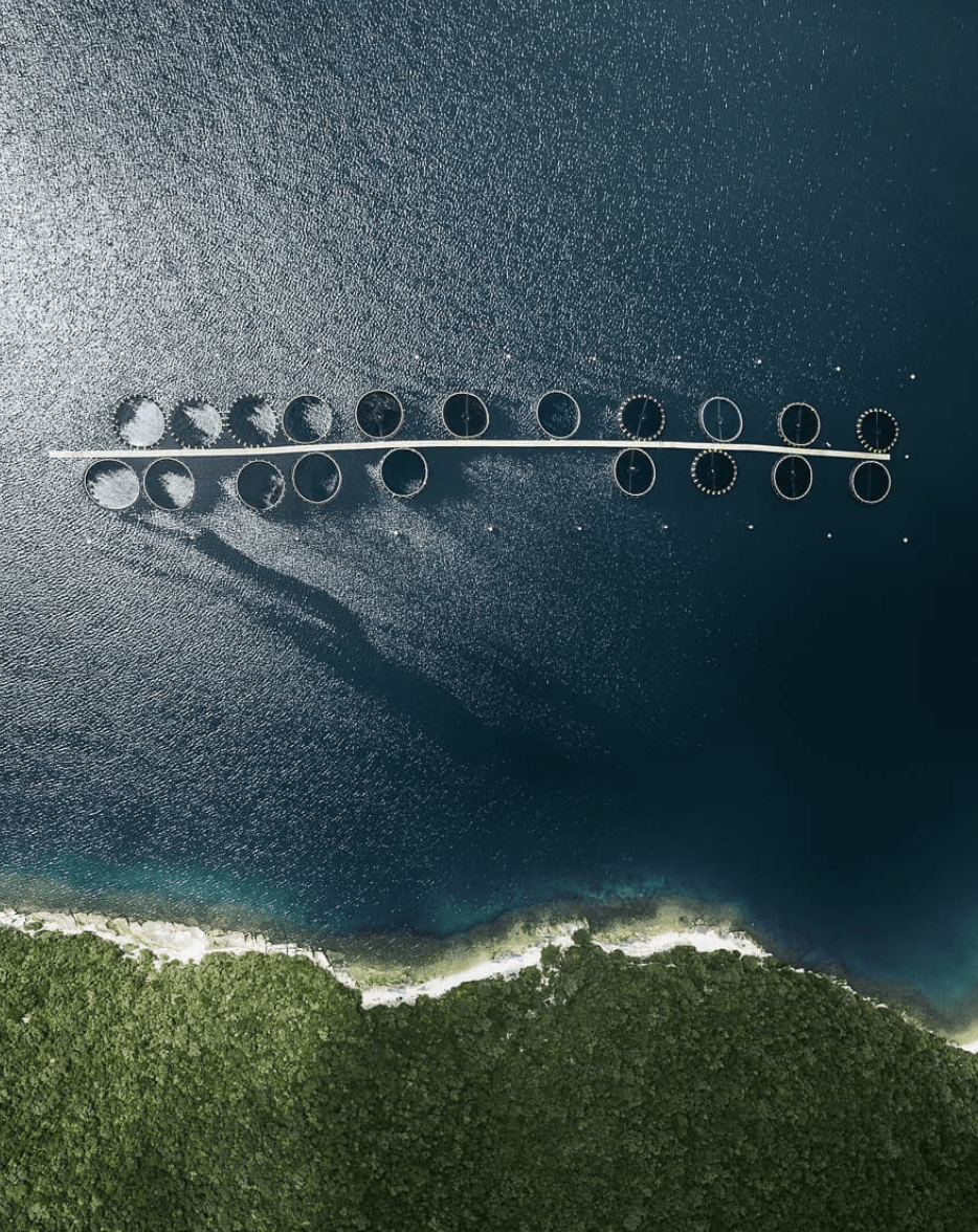 photo aérienne piscine culture par Tom Hegen