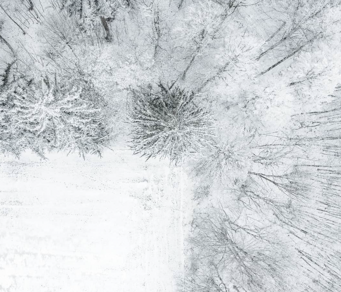 photographie aérienne d'une forêt sous la neige