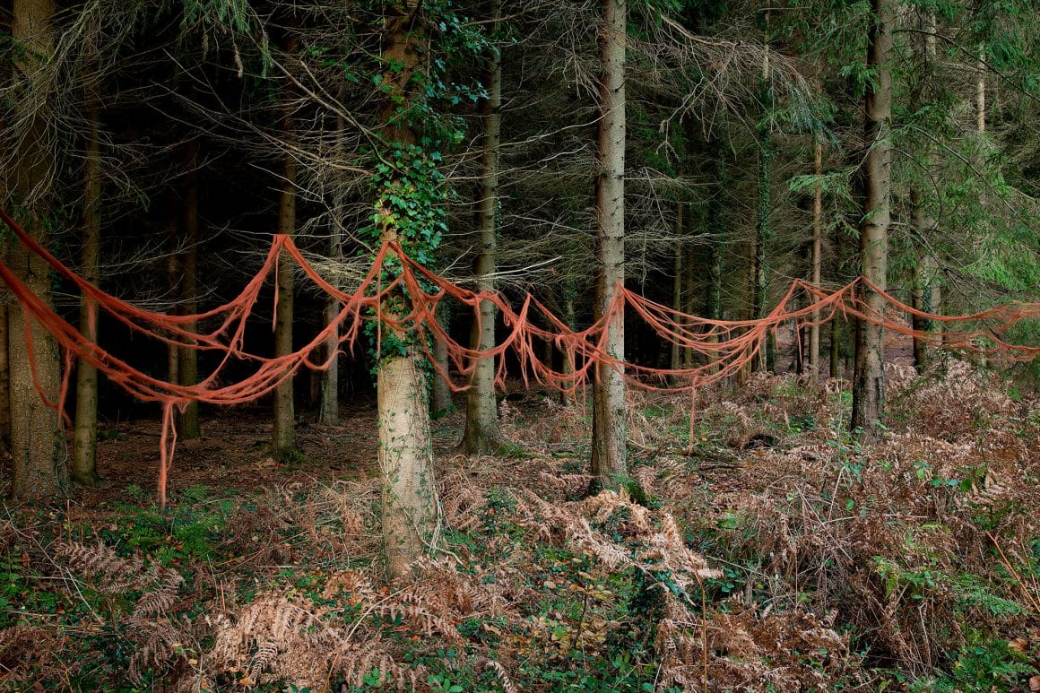 cordes attachés entre des arbres  Ellie Davies