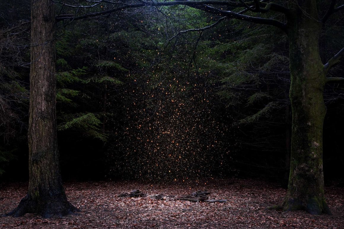 Ellie Davies sculpture de poussière qui flotte au sein d'une forêt 