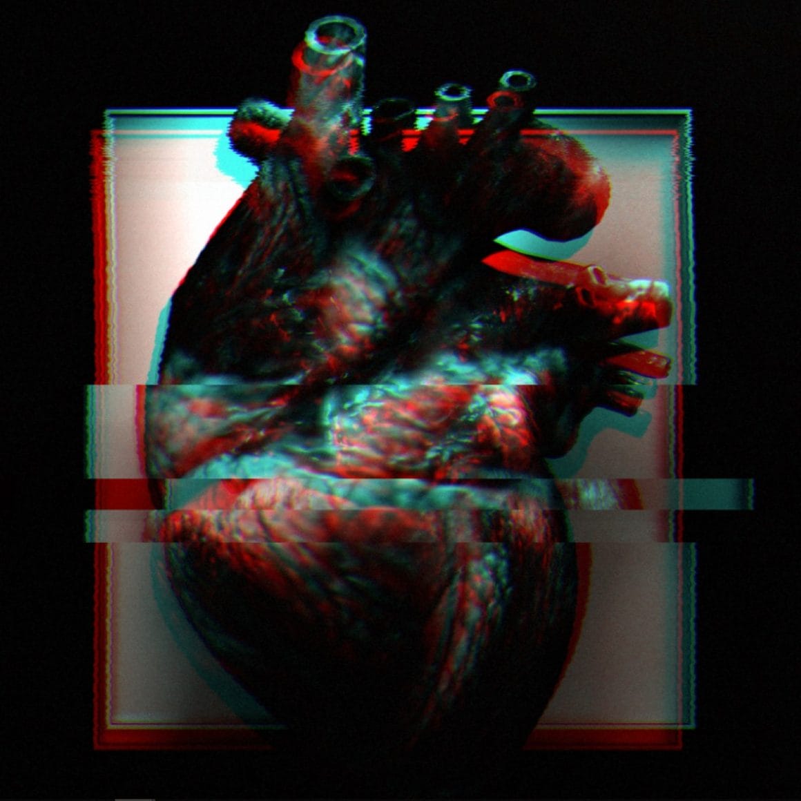 Photographie du projet A living heart réalisé par ParseError