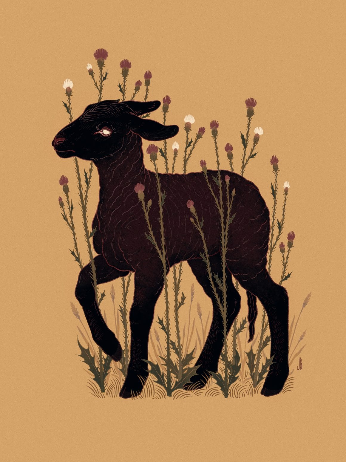 un agneau illustré par Jenna Barton