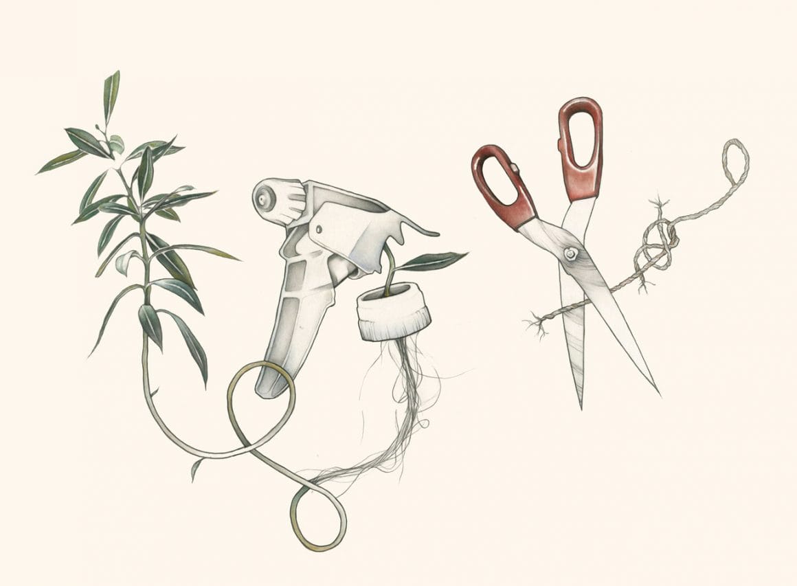 illustration de plante et ciseaux