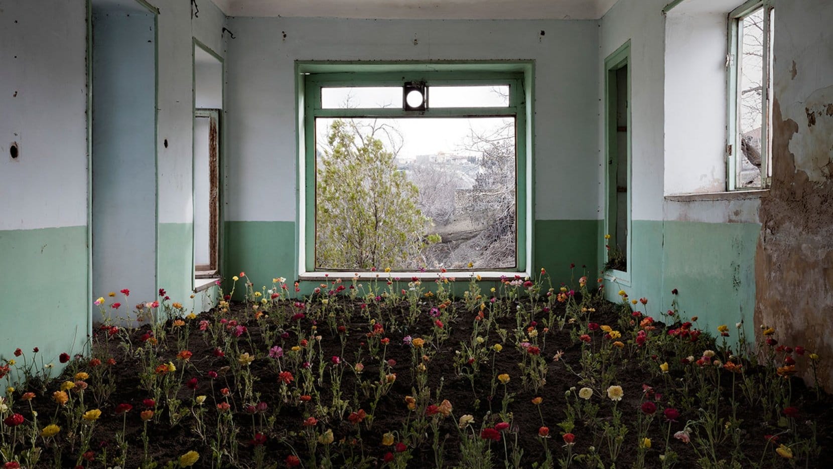 "Home", l'Iran, la Nature, la Guerre et les maisons abandonnées par Gohar Dashti. 6