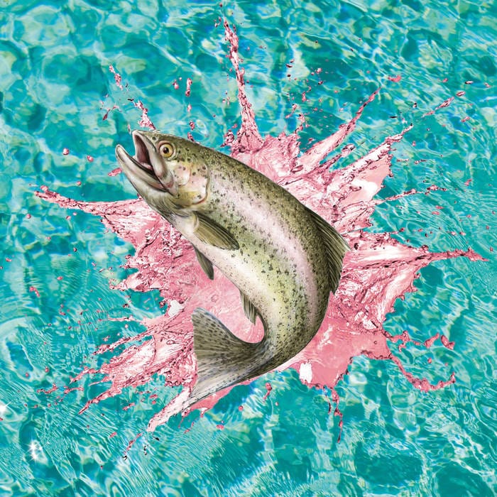 Polycool, "Bisexual Random Trout", 2016, double single.
