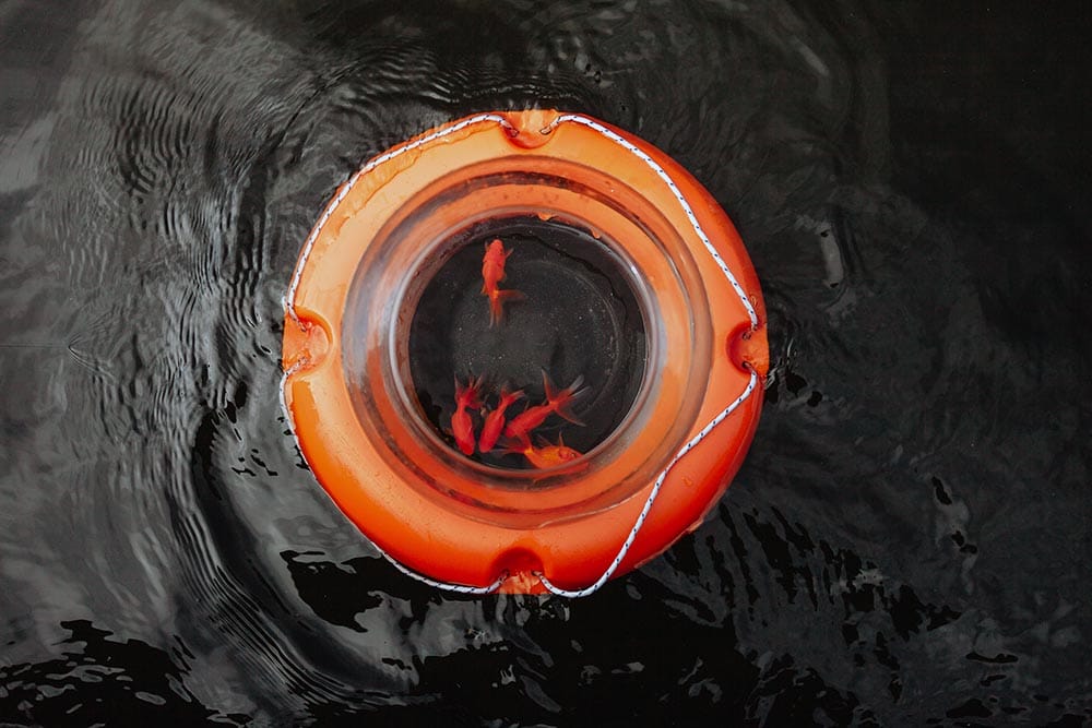 Biancoshock, oeuvre nommée New Horizons qui représente une bouée doté d'un aquarium en son centre. 