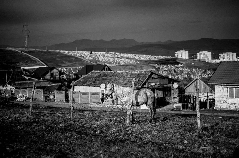 Antoine Lecharny lauréat du Prix du Public, photo en noir et blanc représentant un cheval dans un enclos devant des habitations précaires. 