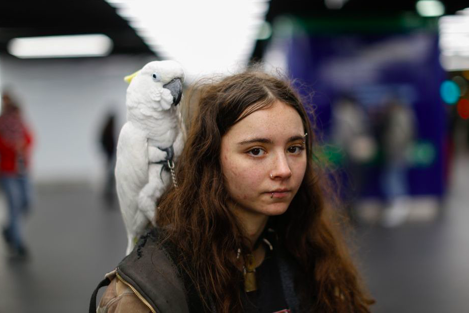 Candidate au grand prix photoreportage Etudiant de paris match , une jeune femme avec un perroquet sur l'épaule à Châtelet. 