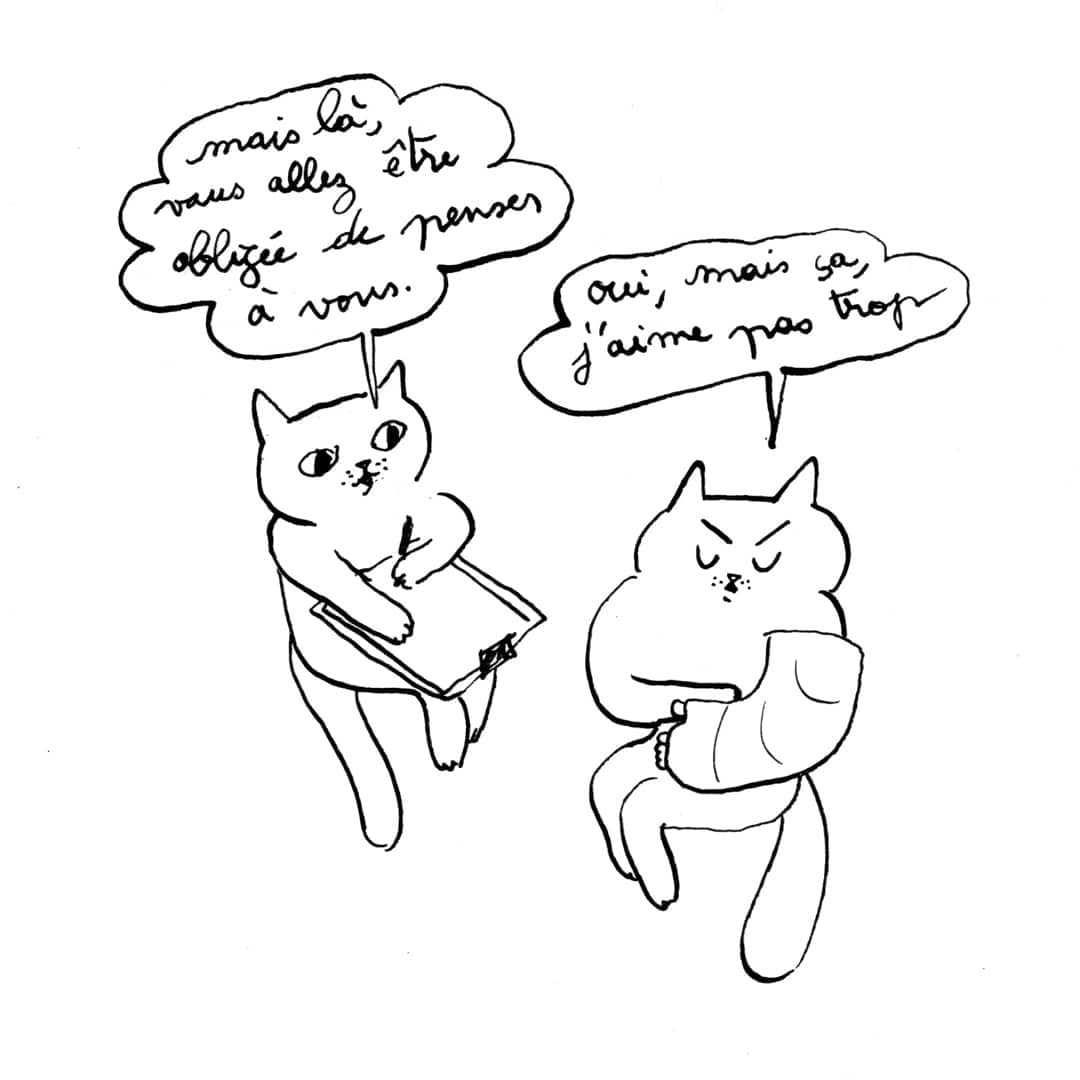 discussion entre chats 