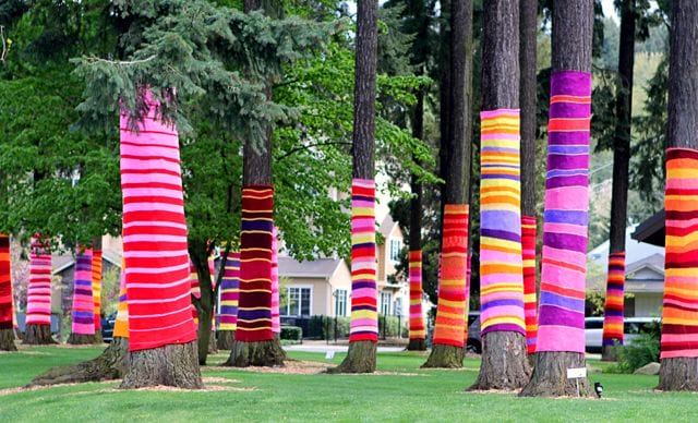 Yarn bombing sur troncs d'arbres 
