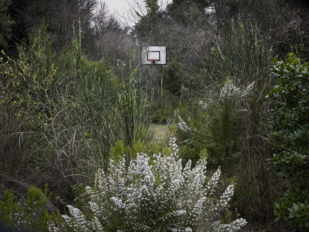 Guillem Vidal lieu abandonné  fleurs arbres 