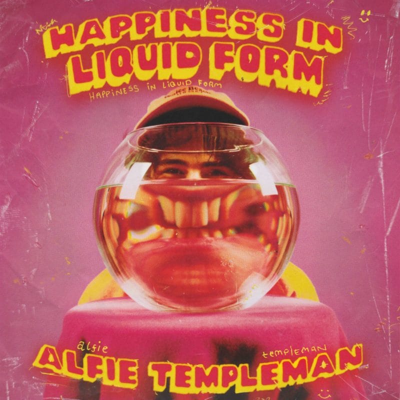 Happiness in liquid form Alfie Templeman pochette album rose bonbon 