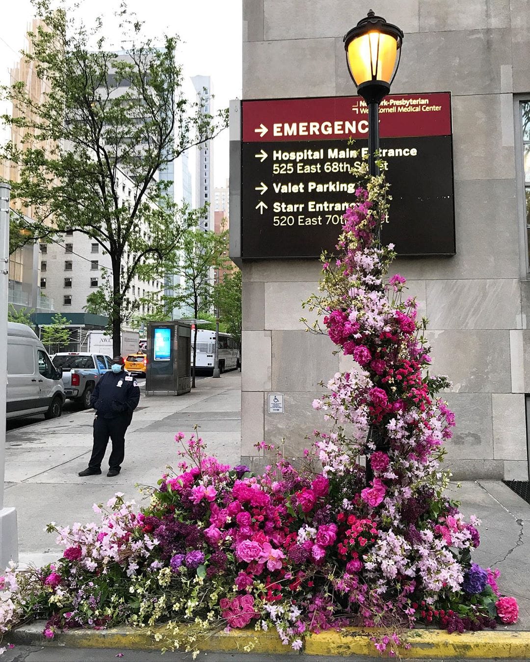 urgences lampadaires New York Lewis Miller fleurs roses 