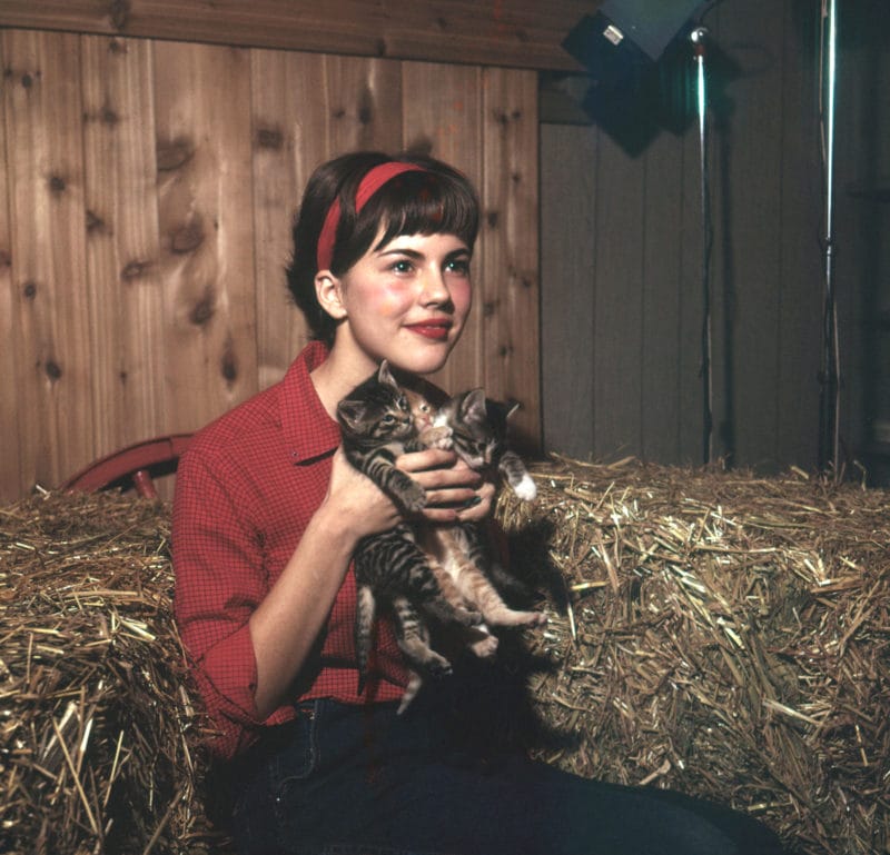 enfant fille chemisier rouge bandeau rouge tient chatons ferme foins 