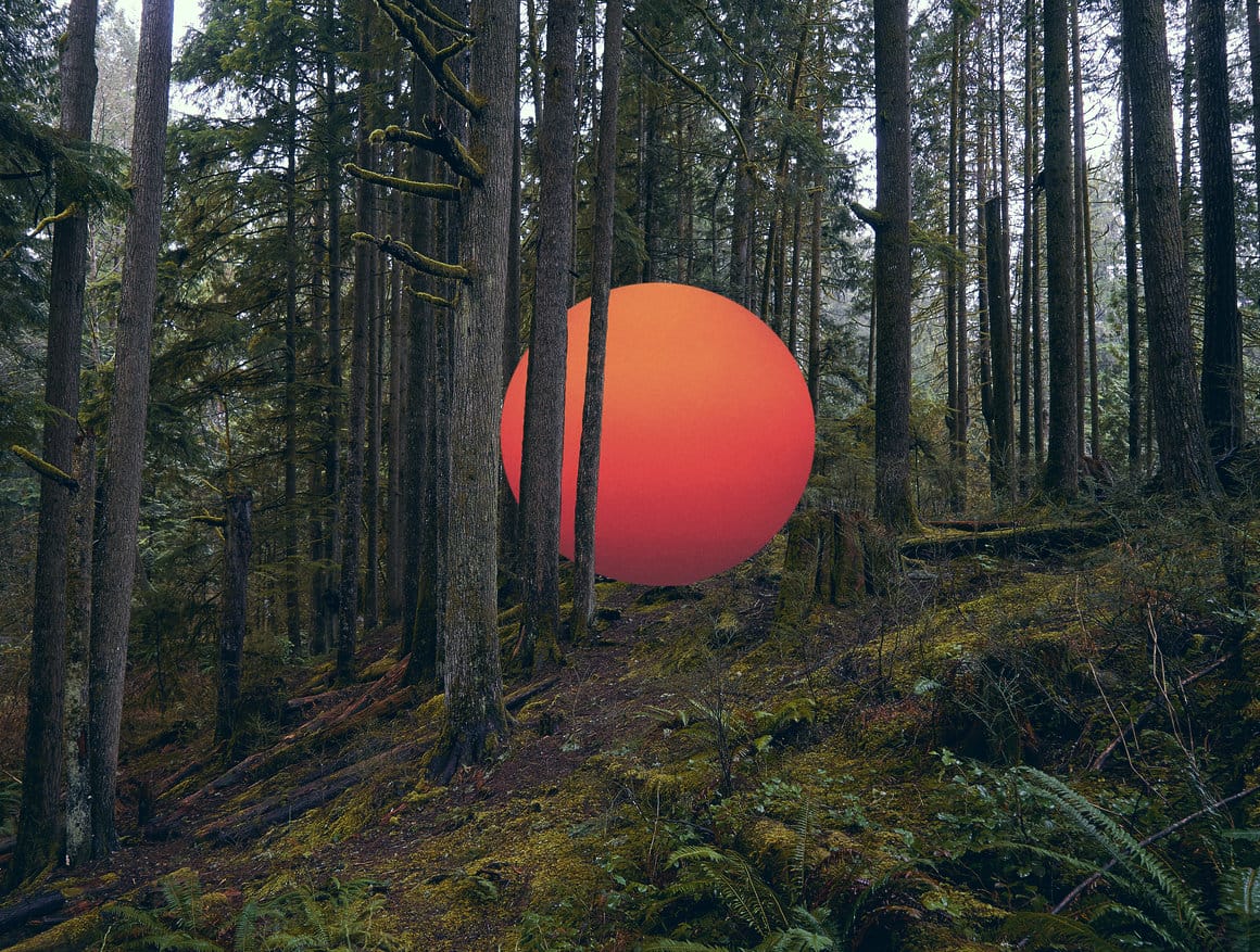 The sun on the forest est une photographie surréaliste de l'artiste Bogdan Sorg
