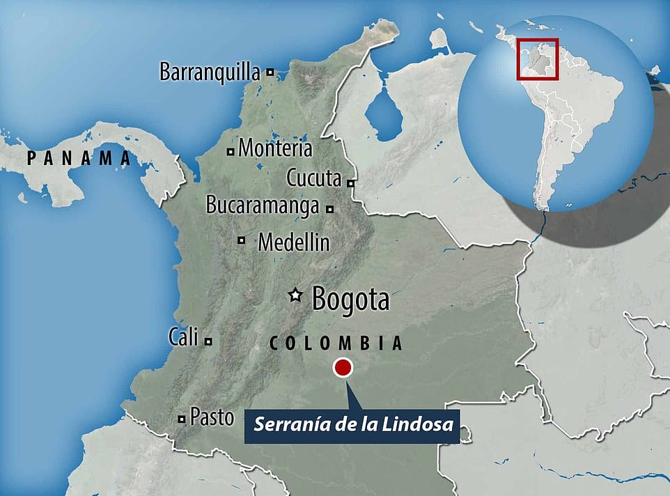 Le site a été découvert dans la Serrania de la Lindosa, au cœur de la Colombie