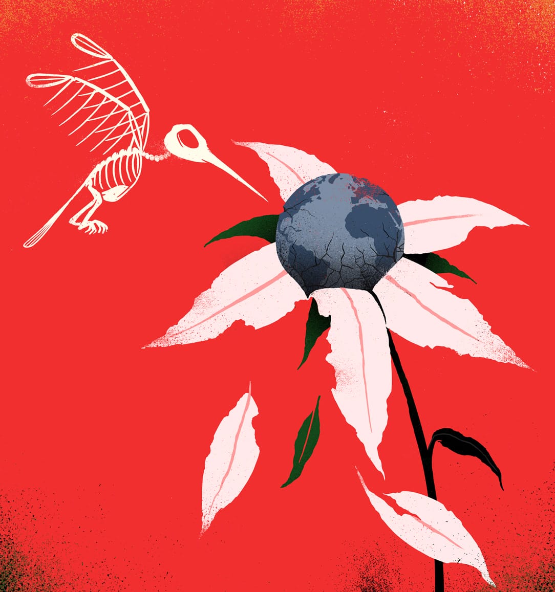 Sur fond rouge, illustration d'une fleur dont le coeur est la Terre, grise et fendue. Un squelette d'oiseau s'en approche.