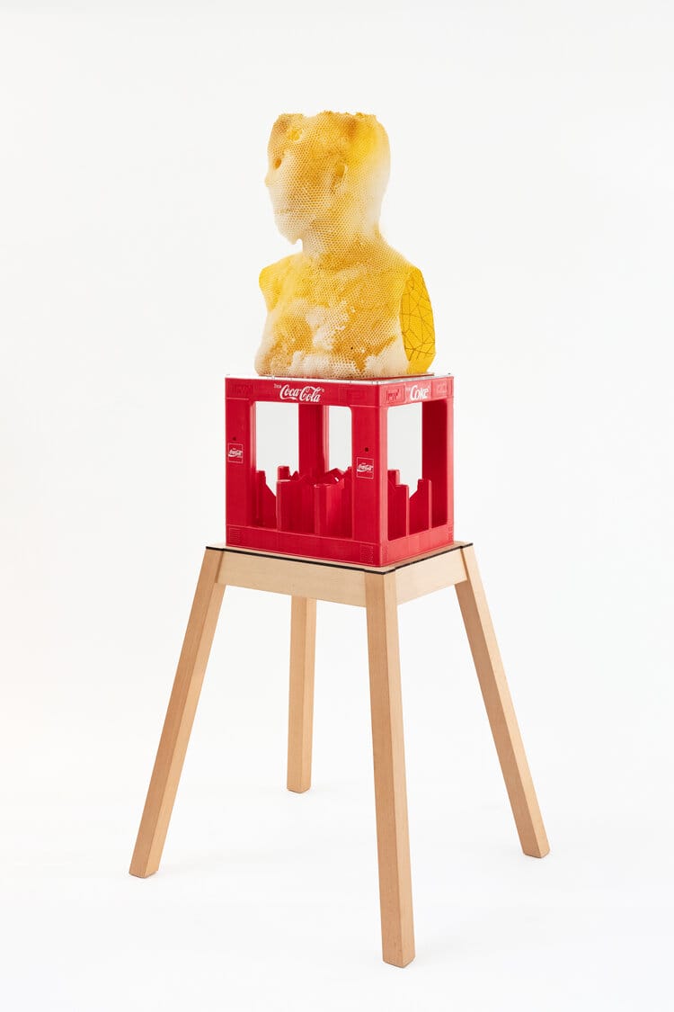Buste de Brutus réalisé en cire d'abeille et creusé par des abeilles. Sculpture posée sur une caisse de Coca-Cola vide, caisse elle-même posée sur un tabouret