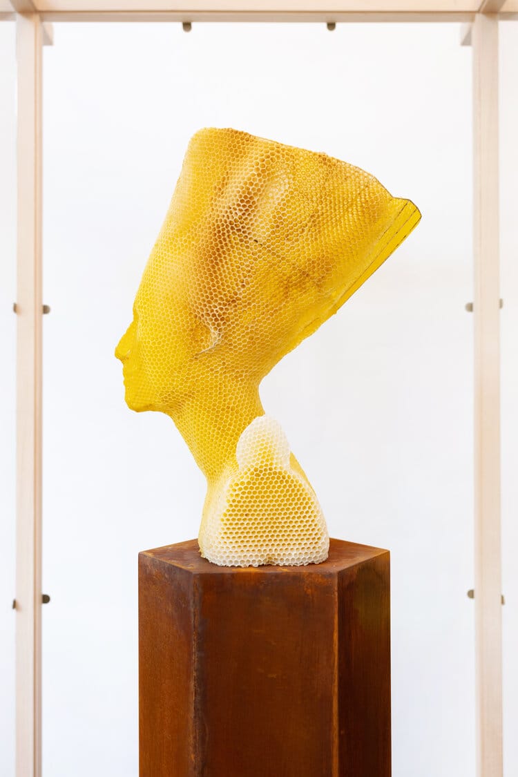 Buste de Néfertiti réalisé en cire d'abeille avec la collaboration des abeilles qui ont creusés leurs niches. Vue de profil.