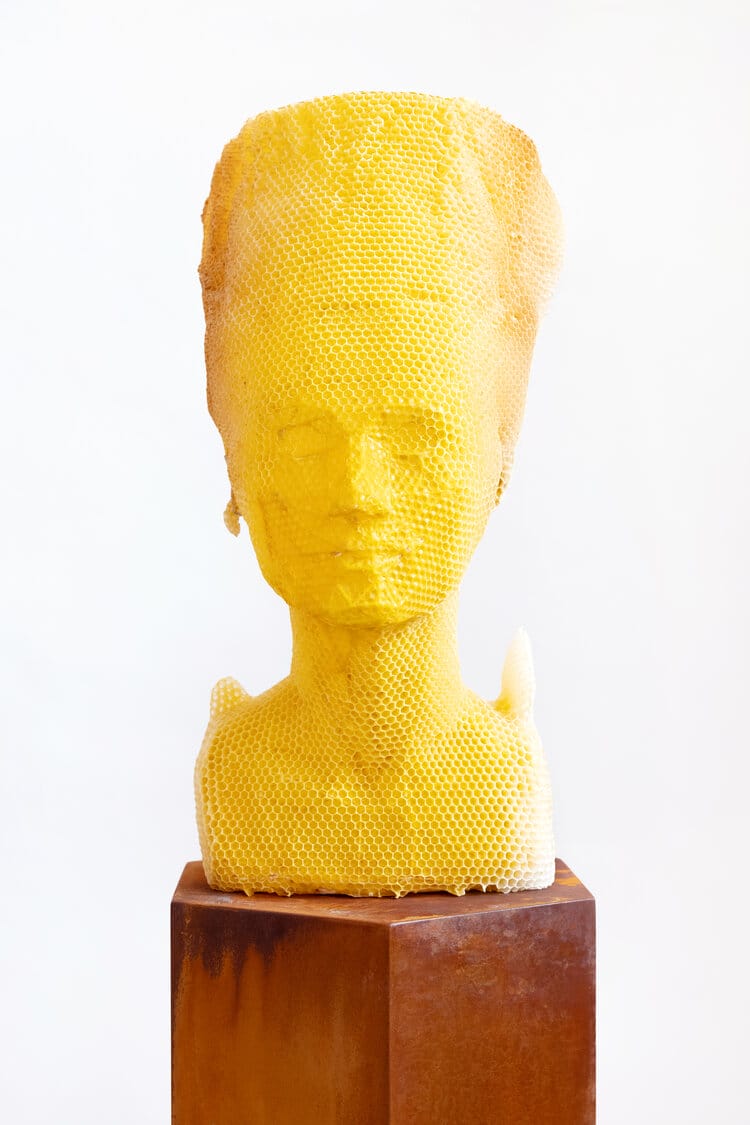 Vue de face du buste de Néfertiti en cire d'abeille, niches creusées par des abeilles elles-mêmes