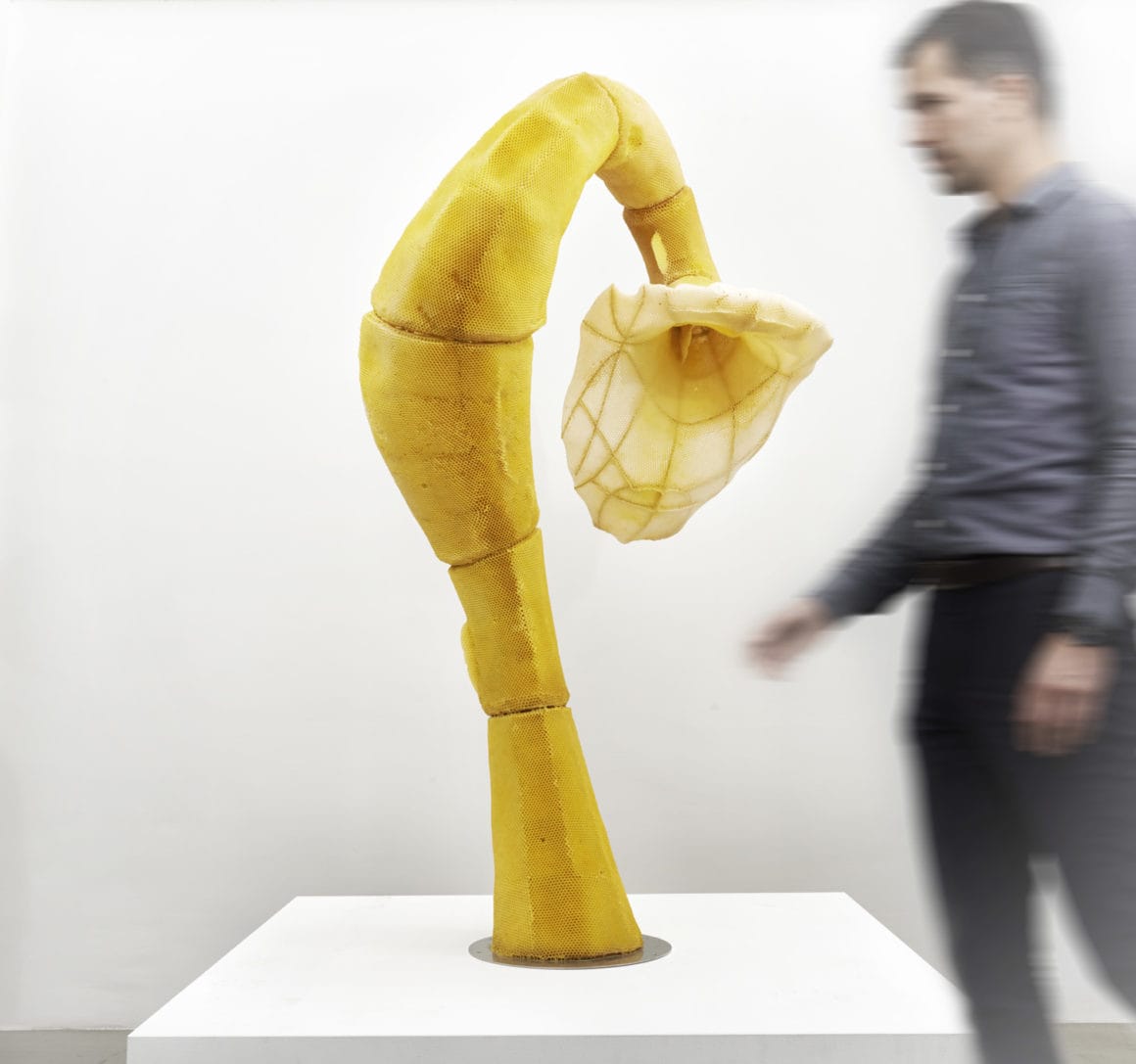 Photographie de la sculpture The Agreement (grande fleur) en cire d'abeille derrière laquelle passe un homme qui est flou. par Tomáš Libertíny