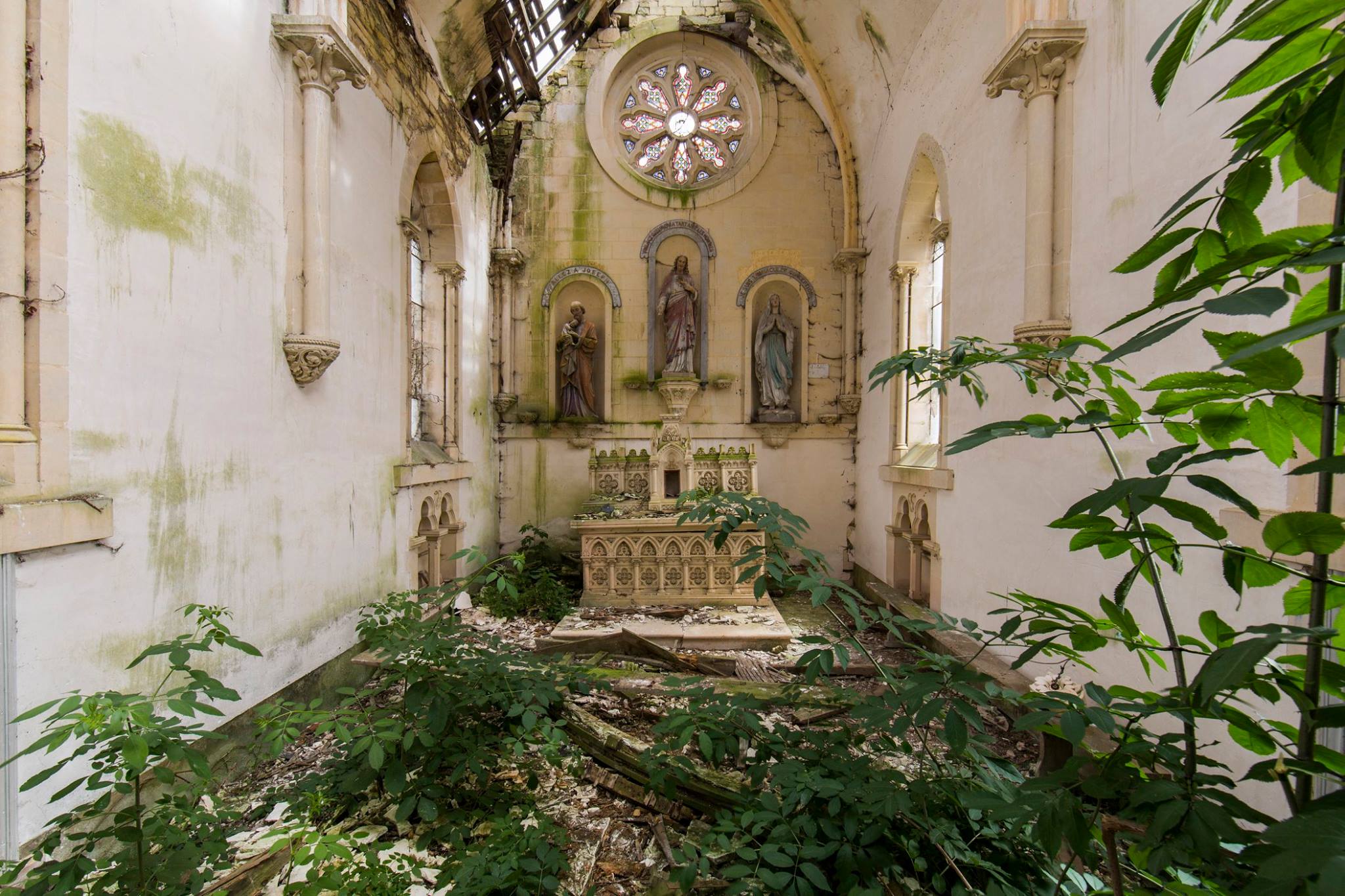 Intérieur d'une chapelle abandonnée dont le sol est recouvert de petits arbres et de plantes. Il y a de la mousse parsemée sur les murs
