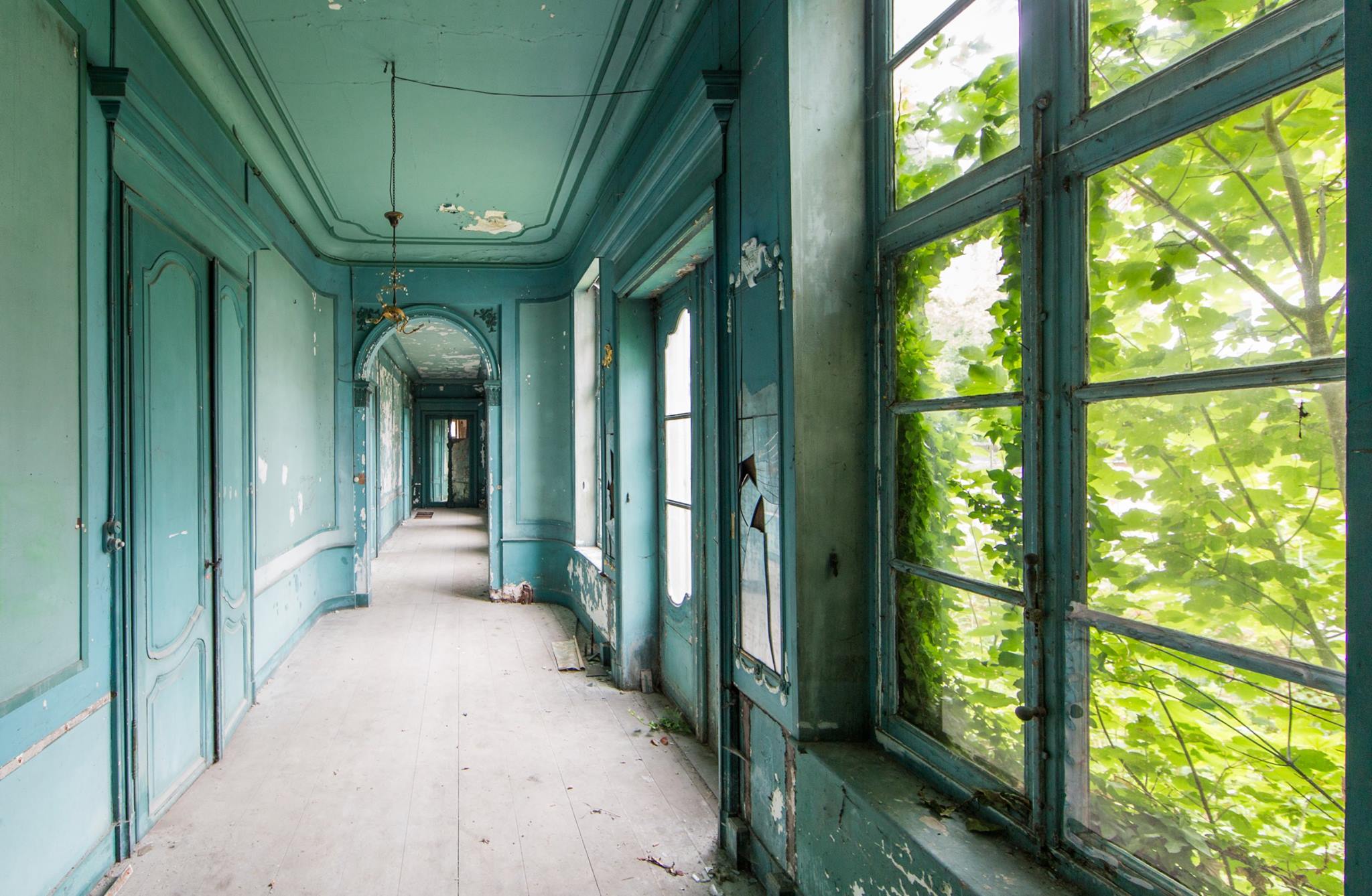 Intérieur d'un château abandonné aux murs verts-bleus. Contre les fenêtres, on voit les branches d'un arbre.