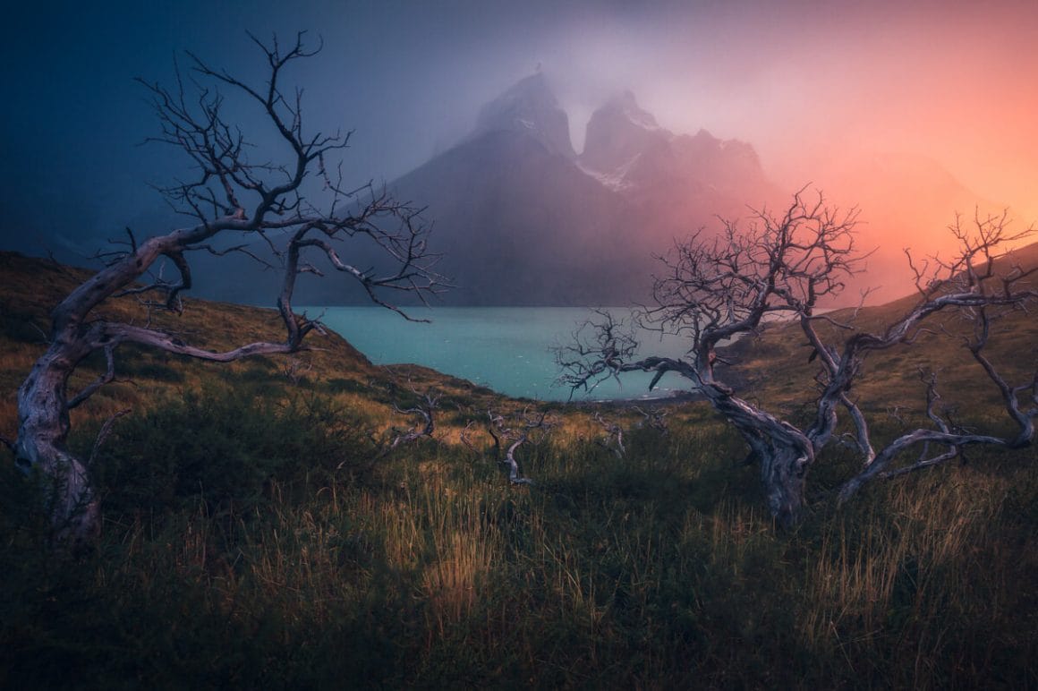 Prairie donnant sur un lac. Deux arbres secs forment une figure tordue, en contraste avec le calme de l'eau au loin. Dans le brouillard bleu et rose, une montagne se distingue au dernier plan.