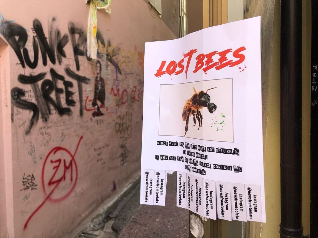 Dans une allée, une feuille au mur, "LOST BEEST", image d'une abeille portant un masque à gaz.