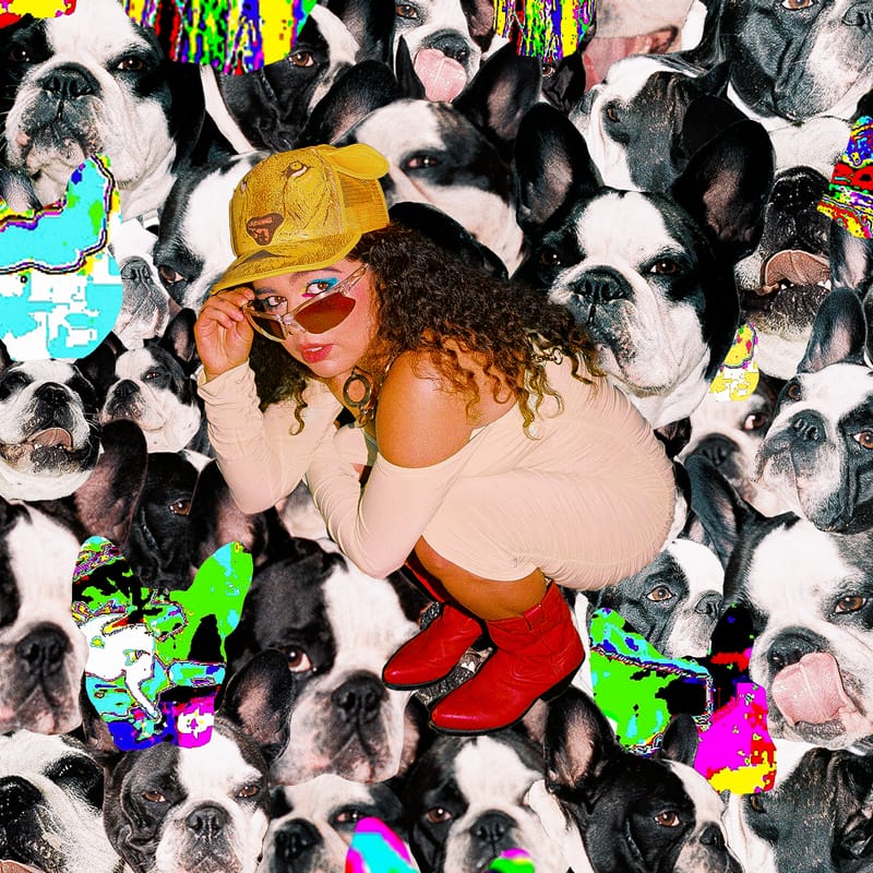 couverture de l'album juno ou l'artiste est accroupie en train de regarder par dessus ses lunettes, le fond est composé de plein de tête de chiens en collage