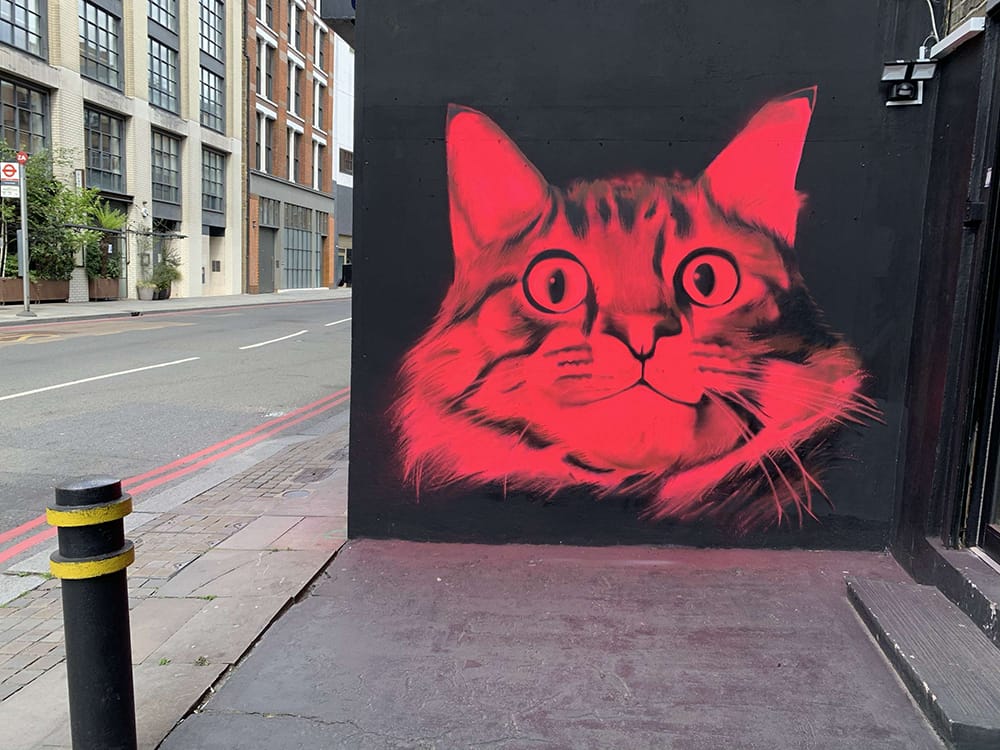 Peinture murale d'un chat