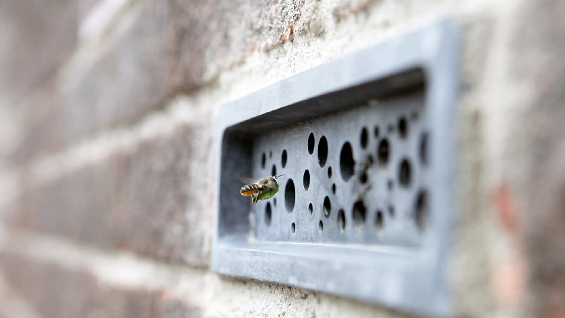 Bee-Brick brique pour abeille