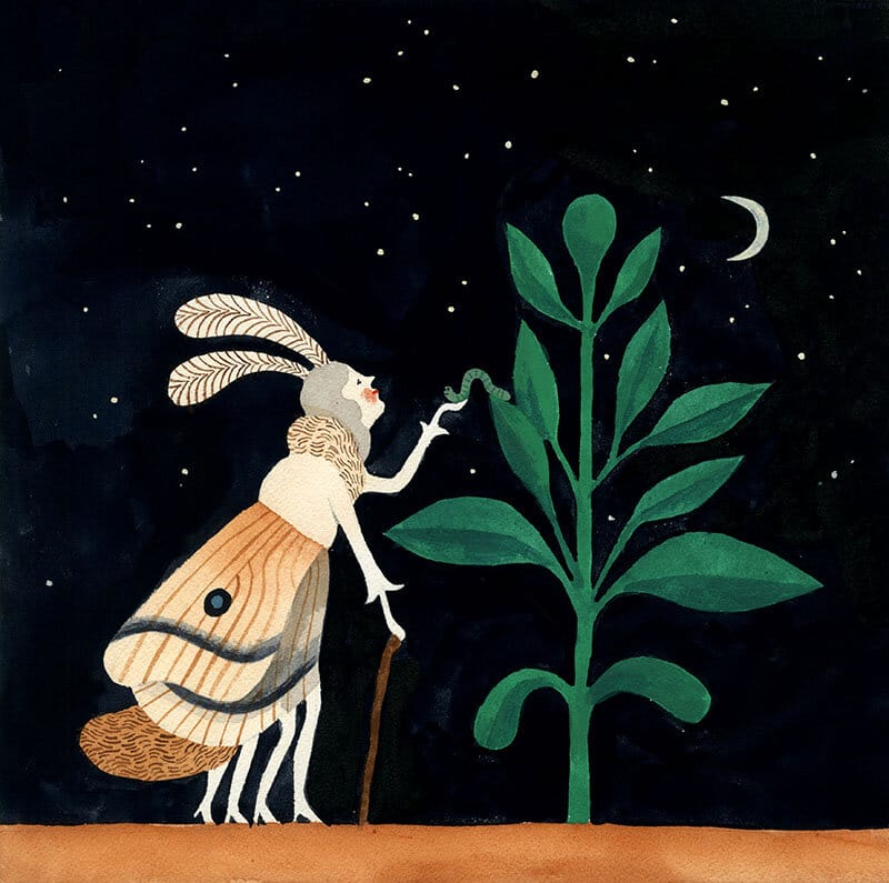 Un personnage ressemblant à un insecte récupère un ver qui est sur une plante. Il fait nuit, le ciel est étoilé et la lune est visible. Dessin par Carson Ellis. 