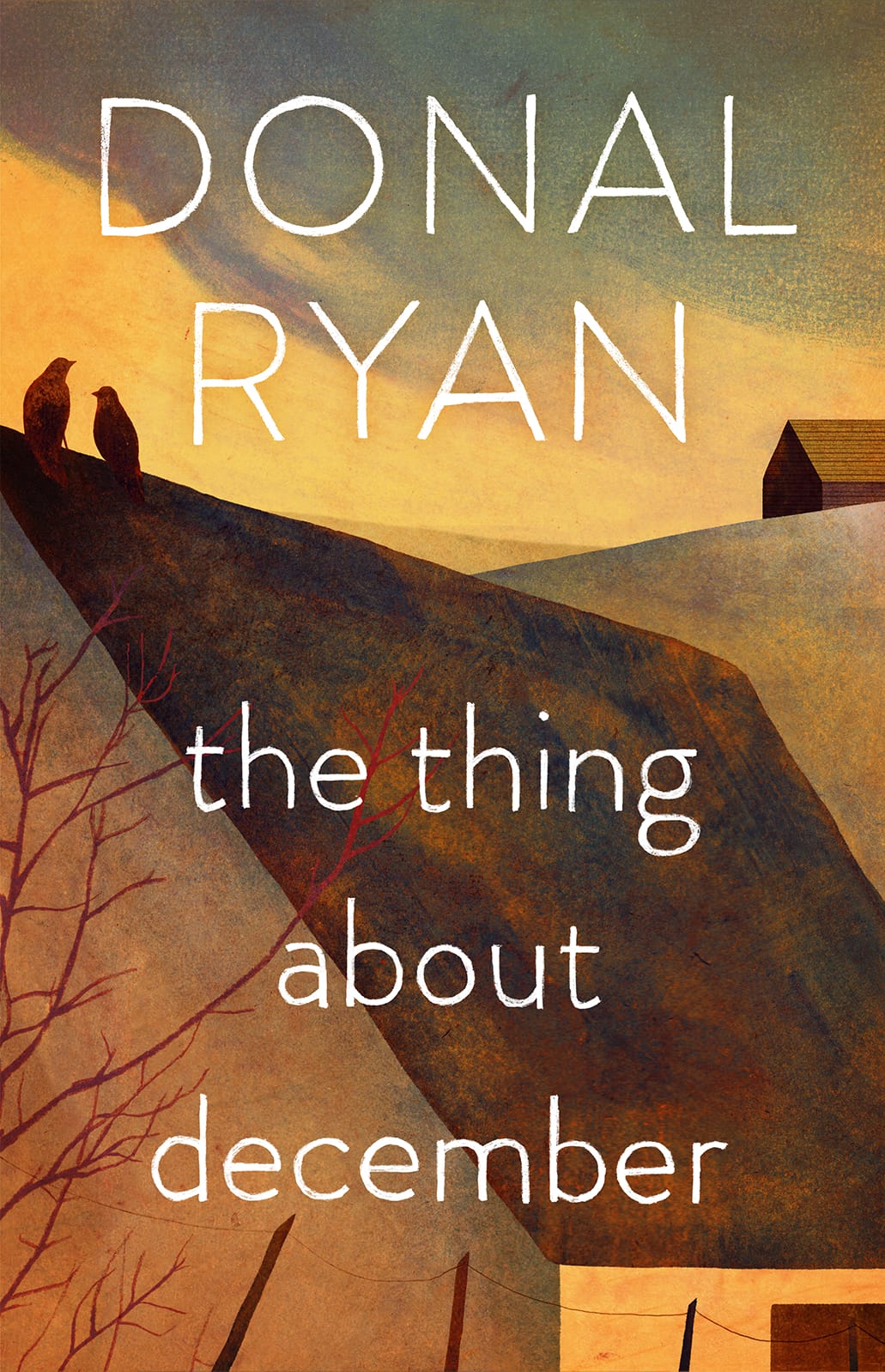 Couverture de "The thing about décembre" de Donal Ryan.