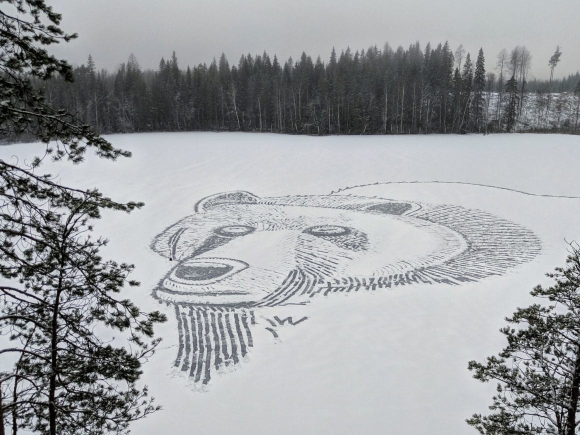 "Dessin" d'un ours dans la neige.