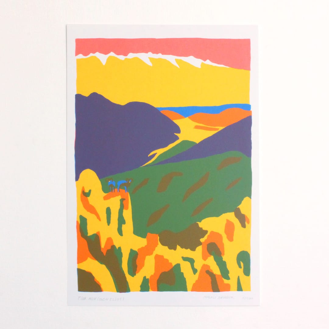 Illustration d'un paysage coloré par Magali Brueder